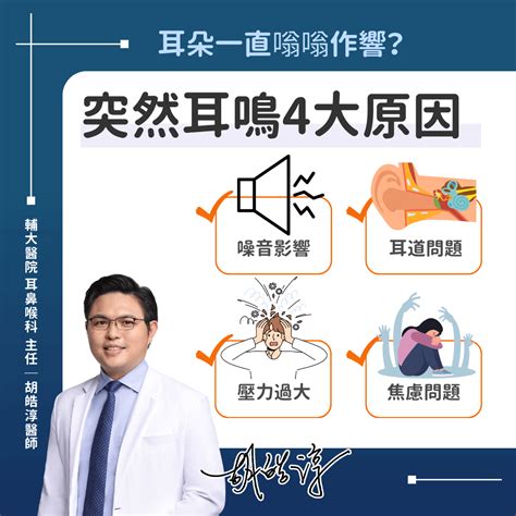 左耳耳鳴|耳鳴怎麼辦？耳鼻喉科醫師解析原因、治療、解決方法